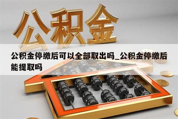 公积金停缴后可以全部取出吗_公积金停缴后能提取吗